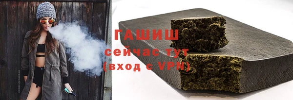 индика Богородск