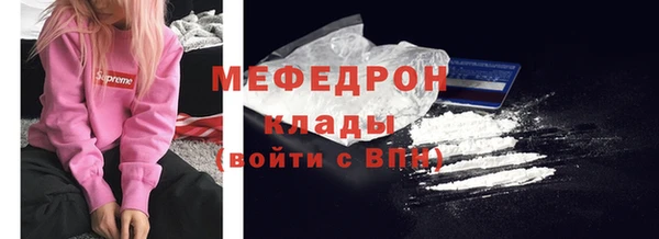 индика Богородск