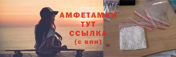 индика Богородск