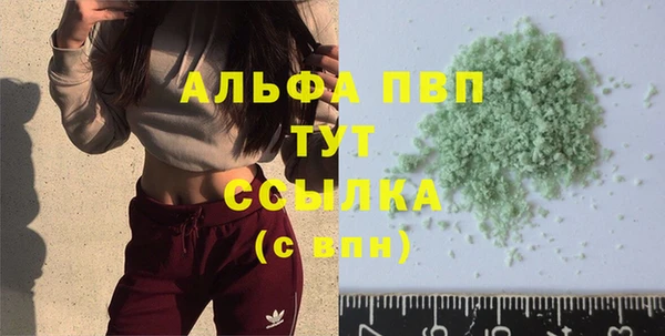 индика Богородск